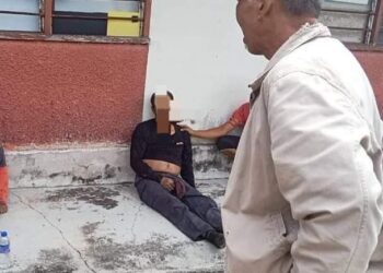 MANGSA serangan gajah yang cedera parah dan dirawat di HSI ditidurkan.