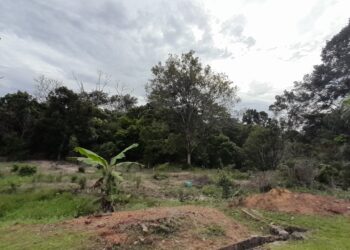 KAWASAN hutan belukar di belakang SK LKTP Tenggaroh 5, lokasi seorang tukang kebun maut diserang seekor gajah liar.