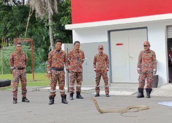 MUHAMMAD Azan Ramli (dua, kiri) bersama Zaini (tengah) ketika ditemui bersama ular tedung selar di Balai Bomba dan Penyelamat Kota, Rembau.-UTUSAN/NOR AINNA HAMZAH.