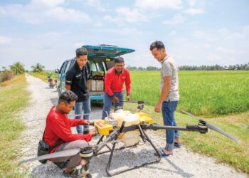 MOHD. Adib Hasanain Ahmad (kanan) memeriksa dron pertanian sebelum menerbangkannya untuk pembajaan di sawah miliknya di Telok Kechai, Jalan Kuala Kedah. – GAMBAR HIASAN