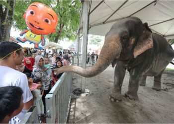 PENGUNJUNG tidak melepaskan peluang untuk berinteraksi dengan gajah yang menjadi antara tarikan pada MAHA 2024.