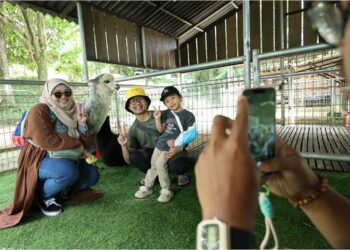 PENGUNJUNG bergambar bersama Alpaca, antara 80 spesies haiwan dipamerkan di MAHA 2024.