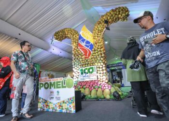 MENARA setinggi 4.2 meter yang mendapat pengiktirafan Malaysia Book of Record (MBOR) itu dibina menggunakan 7,000 biji buah pamelo dan 100 biji buah nangka.