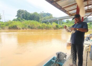 MOHD. Salleh Mat Lia (kanan) menyimpan jaring yang kosong selepas gagal mendapat ikan di Sungai Nenggiri di Kampung Bertam Baru, Gua Musang, Kelantan. – UTUSAN/AIMUNI TUAN LAH