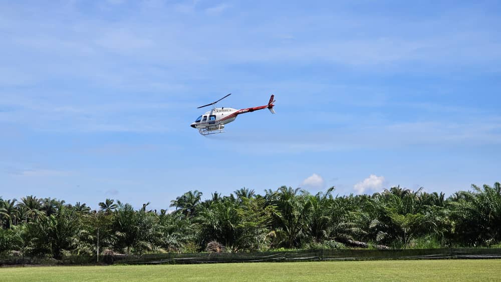 Ancaman ulat bungkus, kementerian mohon peruntukan khas