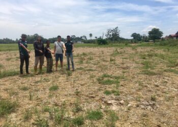 SEBAHAGIAN petani menunjukkan kawasan sawah yang kering kontang akibat masalah tiada air di Kampung But, Ketereh semalam. – UTUSAN/ROSMIZAN