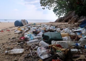 PENGGUNAAN plastik sama ada untuk penghantaran makanan mahupun di restoran dan gerai makan meningkat sejak empat tahun lalu dalam kalangan masyarakat kita terus menyumbang kepada peningkatan mikroplastik di laut dan darat.