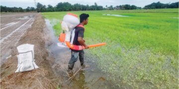 MOHD. Fitri Daniel Azhar mengambil upah membaja sawah di Kampung Sungai Manik di Pasir Salak. – UTUSAN/AIN SAFRE BIDIN