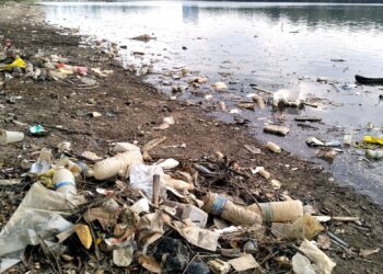 MIKROPLASTIK
mempengaruhi kehidupan alam sekitar bukan sahaja dari segi kesihatan tetapi keselamatan makanan dan menjejaskan ekosistem ikan di perairan.