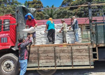 BEKALAN baja padi yang tiba untuk diagih-agihkan kepada pesawah di Sungai Manik di Pasir Salak. – UTUSAN/AIN SAFRE BIDIN