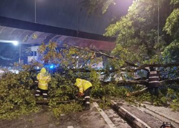 DUA kakitangan MBPP sedang membersihkan jalan susulan kejadian pokok tumbang akibat hujan lebat dan angin kencang di George Town, Pulau Pinang sejak tengah malam tadi.