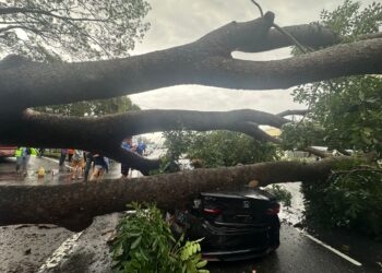 SEBUAH kereta mengalami kerosakan selepas dihempap oleh sebatang pokok yang tumbang dalam kejadian hujan lebat dan angin kencang di Pulau Pinang pagi ini.