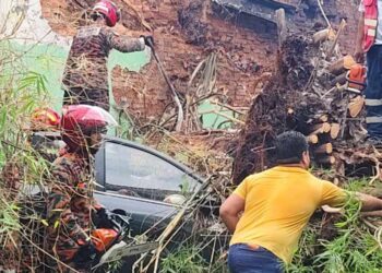 DUA individu dikhuatiri maut selepas terperangkap dalam sebuah kereta yang dihempap oleh pokok tumbang di Lebuh Gereja, George Town, Pulau Pinang.-GAMBAR/MEDIA SOSIAL