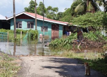 CUACA cerah sejak awal pagi menyebabkan air mula surut di kebanyakan kawasan yang sebelum ini dilanda banjir khususnya di sekitar Seberang Perai, Pulau Pinang.-UTUSAN/IQBAL HAMDAN