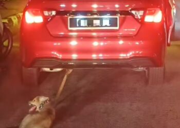 TANGKAP layar satu rakaman video menunjukkan keadaan seekor anjing yang terikat dan diseret oleh sebuah kereta di Bukit Mertajam, Pulau Pinang, semalam