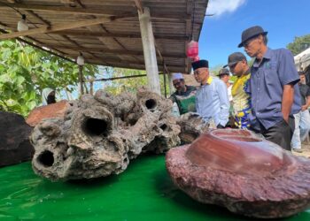 MOHD. Shukri Ramli (tiga dari kanan) meninjau ruang pameran selepas Majlis Perasmian Taman Botanikal Perlis, Jalan Guar Jentik, Padang Besar, Perlis, hari ini. -UTUSAN/ASYRAF MUHAMMAD