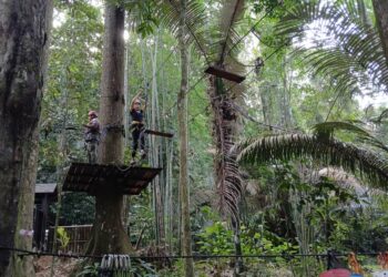 HALANGAN Multivine Walk antara yang menguji stamina di Perah High Ropes Obstacles