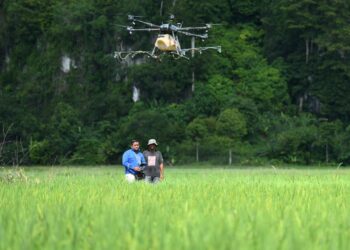 PESAWAH muda meninjau proses menyembur racun menggunakan teknologi dron di Semadong, Beseri, Padang Besar, Perlis. - MINGGUAN/IZLIZAN OTHMAN