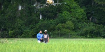 PESAWAH muda meninjau proses menyembur racun menggunakan teknologi dron di Semadong, Beseri, Padang Besar, Perlis. - MINGGUAN/IZLIZAN OTHMAN