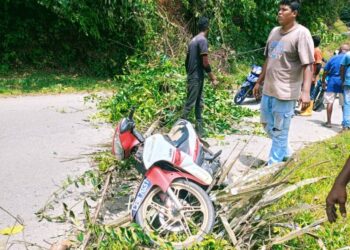 KEADAAN motosikal mangsa yang dihempap pokok sawit dalam kejadian kemalangan di Kilometer 23, Jalan Lipis-Benta di Lipis, Pahang. - FOTO/IPD LIPIS