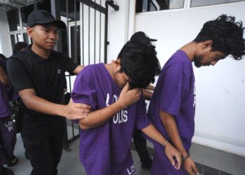 DUA daripada empat suspek warga Rohingya didakwa terlibat dalam kes pecah rumah dan menyimpan barang curi di Mahkamah Majistret Kota Tinggi.