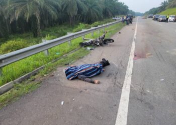 SEORANG pengawal keselamatan maut selepas terlanggar seekor kerbau dalam kemalangan di Kilometer 29 Jalan Temerloh - Bandar Jengka, Maran, pagi ini. - FOTO/IPD MARAN