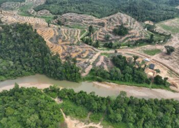 Keadaan hutan di kawasan Hutan Sungai Lembing di Kuantan, Pahang.