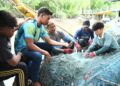 ZAKARIA Ibrahim (tiga dari kiri) bersama beberapa rakan nelayan membersihkan pukat selepas pulang dari laut di Kampung Pulau Ketam, Kuala Perlis, Perlis, semalam. - UTUSAN/IZLIZAN OTHMAN