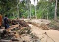 PENDUDUK melihat sisa-sisa pokok yang dihanyutkan banjir di tebing Sungai Rambong di Kampung Teluk Rambong, Baling, malam kelmarin