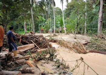 PENDUDUK melihat sisa-sisa pokok yang dihanyutkan banjir di tebing Sungai Rambong di Kampung Teluk Rambong, Baling, malam kelmarin