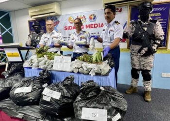 MOHD. Hashim Mat Zain (dua dari kanan) menunjukkan daum ketum yang dirampas di Kuala Sanglang, Perlis, baru-baru ini. – UTUSAN/ASYRAF MUHAMMAD