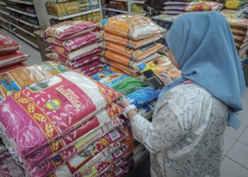 Penurunan harga beras import disifatkan bukan penyelesaian jangka panjang dalam menangani masalah bekalan beras putih tempatan.