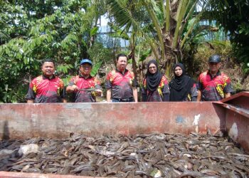 KASIM Tawe (dua dari kiri) dan Yap Yew Meng (tiga dari kiri) menunjukkan sebahagian daripada ikan bandar raya yang ditangkap pada Program Inventori Perikanan Darat dan Memburu Ikan Asing di Kampung Kayu Ara, Mambau, Seremban hari ini.-UTUSAN/NOR AINNA HAMZAH.