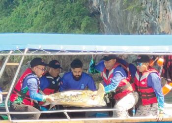 SUKRI Deris (kiri) bersama Dr. Kavvin Sehgar (tiga dari kiri) mengangkat penyu agar ‘Emelda’ untuk dilepaskan di perairan Pulau Pasir, Langkawi, Kedah.