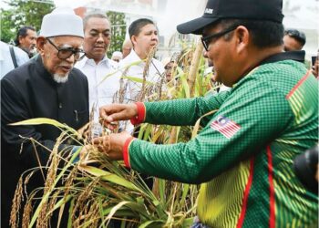 ZAKARIA Othman (kanan) memberi peneranganmengenai tanaman padi huma di Seri Mentaloon, Alor Setar. – UTUSAN/SHAHIR NOORDIN