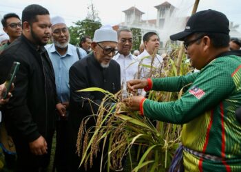 ZAKARIA Othman (kanan) memberi penerangan kepada Abdul Hadi Awang mengenai tanaman padi huma di kediaman rasmi Menteri Besar Kedah di Seri Mentaloon, Alor Setar. - UTUSAN/ SHAHIR NOORDIN