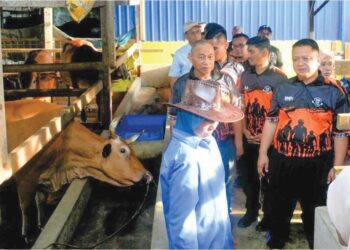 TUANKU Syed Faizuddin Putra Jamalullail (kanan) berkenan meninjau ladang ternakan lembu selepas menyempurnakan Majlis Perasmian Destinasi Agropelancongan MADA Wilayah 1 Perlis di Homestay Dangau Tok Chaq, Simpang Empat, Arau, Perlis, semalam.