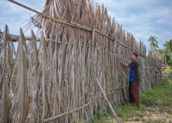 MUSA Muda membina penghadang angin mengguna pelepah kelapa untuk mengurangkan  kerosakan rumahnya akibat tiupan angin kencang pada musim Monsun Timur Laut di Kampung Jambu Bongkok, Marang, semalam. – UTUSAN/PUQTRA HAIRRY ROSLI