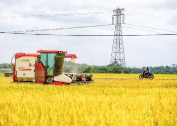 BEKALAN baja dan benih padi yang sering berlaku kelewatan masih menghantui pesawah  hingga menjejaskan jadual penanaman. - GAMBAR HIASAN