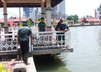 ANGGOTA Perhilitan meninjau lokasi kejadian seekor buaya membaham biawak di Kampung Morten, Melaka. - UTUSAN/AMRAN MULUP