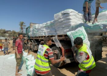 SEBANYAK 10 daripada 100 buah kontena di bawah Misi Bantuan Kemanusiaan Kecemasan 100 Kontena Malaysia Dari Kaherah Ke Gaza akhirnya berjaya memasuki bumi Gaza. - GAMBAR IHSAN MAPIM