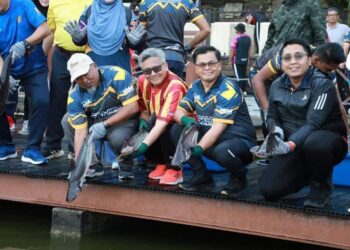 TINDAKAN pelepasan ikan patin siam boleh mengancam keseimbangan ekosistem perairan tempatan. - Foto hiasan ihsan media sosial