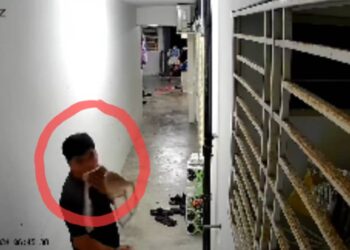 TANGKAP layar satu rakaman CCTV menunjukkan seorang lelaki (dalam bulatan merah) cuba berkelakuan tidak senonoh di hadapan rumah seorang wanita di Taman Bukit Erskine, George Town, Pulau Pinang