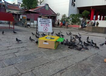 MBPP turut memperkenalkan inovasi penangkapan burung merpati menggunakan sangkar dengan alat kawalan jauh di Pulau Pinang