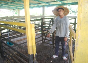 Ab. Razak Ab. Rahim menunjukkan tempat enam kambing miliknya yang ditemukan mati dipercayai dibaham seekor harimau kumbang di Kampung Bukit Tampoi Alor Gajah, Melaka. UTUSAN/AMRAN MULUP