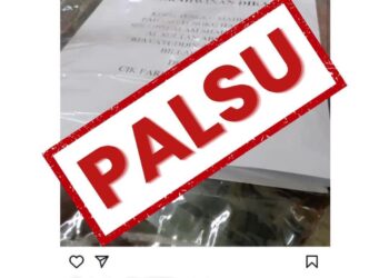 Istana Pahang mengesahkan hantaran dimuatnaik pemilik akaun Farida.1111111 adalah palsu.