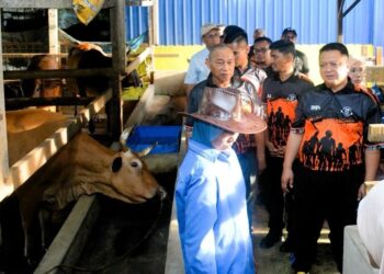 TUANKU Syed Faizuddin Putra Jamalullail (kanan) berkenan meninjau ladang ternakan lembu selepas menyempurnakan Majlis Perasmian Destinasi Agropelancongan MADA Wilayah 1 Perlis di Homestay Dangau Tok Chaq, Simpang Empat, Arau, Perlis, semalam.-UTUSAN