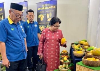 NOR Sam Alwi (kanan) meninjau salah sebuah reruai selepas menyempurnakan Persidangan Mangga Harumanis Kebangsaan 2024 di Dewan 2020, Kangar, Perlis, hari ini. - UTUSAN/ASYRAF MUHAMMAD