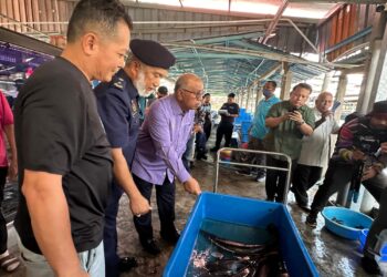 MOHD. Zolkafly Harun (tiga dari kiri) menunjukkan ikan mulut buaya yang dirampas dalam operasi di Kampung Tawas di Ipoh hari ini. -UTUSAN/LIYANA RAMLI