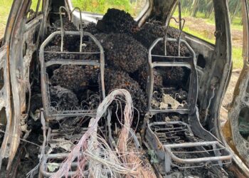 KERETA Proton Iriz yang dinaiki suspek terbakar ketika melarikan 30 tandan buah kelapa sawit di Kampung Bukit Kepok, Merlimau, Melaka.